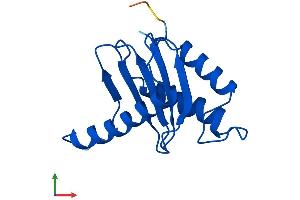 Protein Structure (PS) image for Trafficking Protein Particle Complex 1 (TRAPPC1) (AA 1-145) protein (His tag) (ABIN7557481)