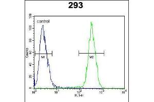 Flow cytometric analysis of 293 cells (right histogram) compared to a negative control cell (left histogram). (CLPX 抗体  (C-Term))