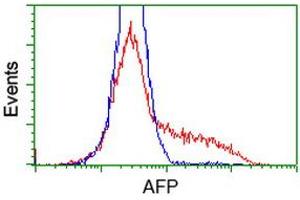 HEK293T cells transfected with either RC206622 overexpress plasmid (Red) or empty vector control plasmid (Blue) were immunostained by anti-AFP antibody (ABIN2452710), and then analyzed by flow cytometry. (alpha Fetoprotein 抗体)