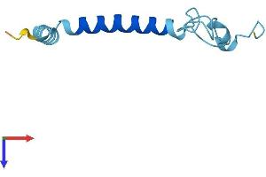 AlphaFold protein structure predicition of Human Recombinant NDUFA4L2 Protein, UniprotID Q9NRX3