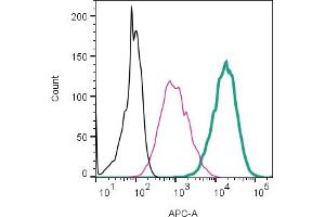 anti-Pyrimidinergic Receptor P2Y, G-Protein Coupled, 6 (P2RY6) (AA 172-186), (Extracellular Loop) antibody (APC)
