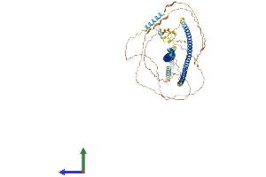 Protein Structure (PS) image for Beaded Filament Structural Protein 1, Filensin (BFSP1) (AA 1-665) protein (His tag) (ABIN7552617)