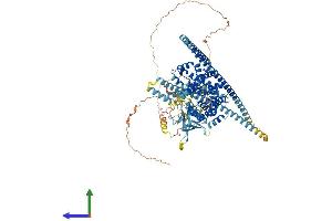 AlphaFold protein structure predicition of Human Recombinant TBC1D2 Protein, UniprotID Q9BYX2
