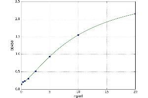 SMAD Family Member 4 (SMAD4) ELISA Kit