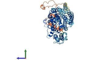 AlphaFold protein structure predicition of Human Recombinant SLC5A7 Protein, UniprotID Q9GZV3
