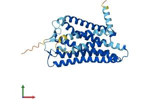 Protein Structure (PS) image for OR10H2 Olfactory Receptor, Family 10, Subfamily H, Member 2 (OR10H2) (AA 1-315) protein (His tag) (ABIN7550205)