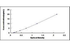 Eukaryotic Translation Initiation Factor 6 (EIF6) ELISA Kit