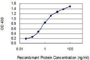 Detection limit for recombinant GST tagged F2 is 0. (Prothrombin 抗体  (AA 263-362))