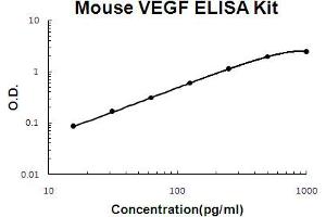 Mouse VEGF Accusignal ELISA Kit Mouse VEGF AccuSignal ELISA Kit standard curve. (VEGF ELISA 试剂盒)