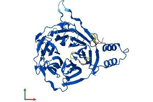 Protein Structure (PS) image for Kelch Domain Containing 3 (KLHDC3) (AA 1-382) protein (His tag) (ABIN7559915)
