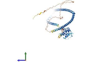Protein Structure (PS) image for Clusterin Associated Protein 1 (CLUAP1) (AA 1-413) protein (His tag) (ABIN7559744)