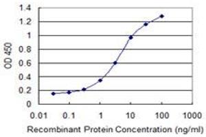 Detection limit for recombinant GST tagged E4F1 is 0. (E4F1 抗体  (AA 685-784))