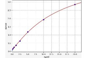 Typical standard curve (PRKACA ELISA 试剂盒)