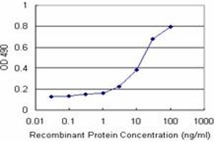 Sandwich ELISA detection sensitivity ranging from 3 ng/mL to 100 ng/mL. (SNRPA (人) Matched Antibody Pair)