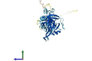 Protein Structure (PS) image for 60S Ribosomal Export Protein NMD3 (NMD3) (AA 1-503) protein (His tag) (ABIN7560353)