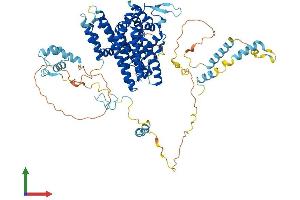 Protein Structure (PS) image for Activating Signal Cointegrator 1 Complex Subunit 2 (ASCC2) (AA 1-757) protein (His tag) (ABIN7552450)
