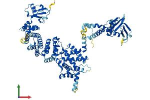 Protein Structure (PS) image for Engulfment and Cell Motility 1 (ELMO1) (AA 1-727) protein (His tag) (ABIN7558806)