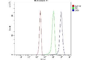 anti-Oral-Facial-Digital Syndrome 1 (OFD1) (C-Term) antibody