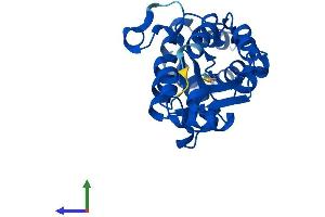 Protein Structure (PS) image for Haloacid Dehalogenase-Like Hydrolase Domain Containing 3 (HDHD3) (AA 1-251) protein (His tag) (ABIN7560762)