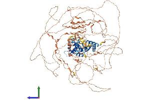 Protein Structure (PS) image for MAGE-Like 2 (MAGEL2) (AA 1-1249) protein (His tag) (ABIN7554468)
