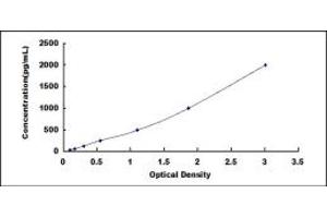 14-3-3 sigma/SFN ELISA 试剂盒