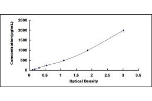 14-3-3 sigma/SFN ELISA 试剂盒