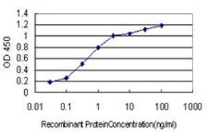 Detection limit for recombinant GST tagged TSC22D3 is approximately 0. (TSC22D3 抗体  (AA 1-97))