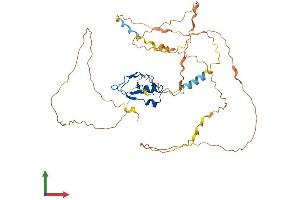 Protein Structure (PS) image for Ring Finger Protein 44 (RNF44) (AA 1-432) protein (His tag) (ABIN7551475)
