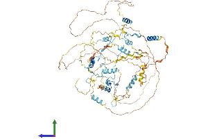 Protein Structure (PS) image for Calpastatin (CAST) (AA 1-788) protein (His tag) (ABIN7563373)