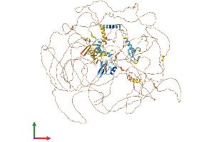 Protein Structure (PS) image for Methyl-CpG Binding Domain Protein 5 (MBD5) (AA 1-1498) protein (His tag) (ABIN7562039)