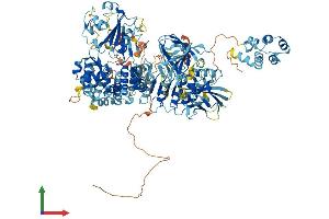 Protein Structure (PS) image for NLR Family, Pyrin Domain Containing 1B (NLRP1B) (AA 1-1172) protein (His tag) (ABIN7563651)