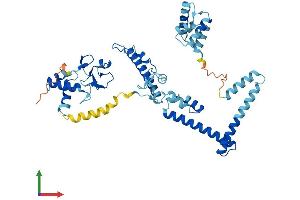 Protein Structure (PS) image for Transcriptional Adaptor 2A (TADA2A) (AA 1-443) protein (His tag) (ABIN7544110)