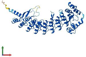 Protein Structure (PS) image for Ankyrin Repeat and SOCS Box Containing 4 (ASB4) (AA 1-426) protein (His tag) (ABIN7556303)