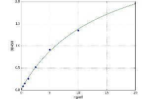 Necdin Homolog (Mouse) (NDN) ELISA Kit