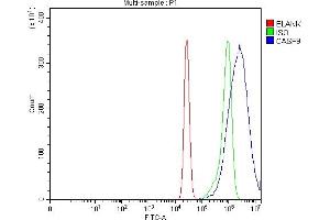 Flow Cytometry analysis of K562 cells using anti-Caspase-9/CASP9 antibody (ABIN7601974).