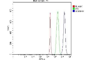 Flow Cytometry analysis of 293T cells using anti-HnRNP H/HNRNPH1 antibody (ABIN4886623). (HNRNPH1 抗体  (N-Term))