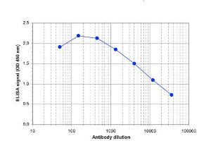 ELISA of anti-Wdr5 antibody ELISA results of Rabbit anti-Wdr5 antibody. (WDR5 抗体  (Internal Region))