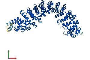 Protein Structure (PS) image for RAP1, GTP-GDP Dissociation Stimulator 1 (RAP1GDS1) (AA 1-607) protein (His tag) (ABIN7547906)