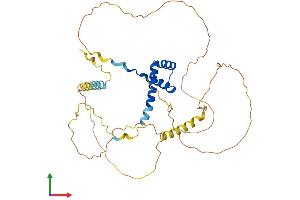 Protein Structure (PS) image for NK2 Homeobox 3 (NKX2-3) (AA 1-364) protein (His tag) (ABIN7549765)