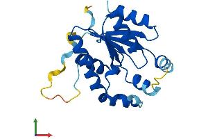 Protein Structure (PS) image for IdnK Gluconokinase Homolog (IDNK) (AA 1-184) protein (His tag) (ABIN7559633)