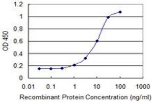 Detection limit for recombinant GST tagged ITGB1BP1 is 0. (ITGB1BP1 抗体  (AA 1-200))