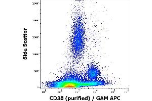Flow cytometry surface staining pattern of human peripheral whole blood stained using anti-human CD38 (HIT2) purified antibody (concentration in sample 2 μg/mL, GAM APC). (CD38 抗体)