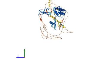 AlphaFold protein structure predicition of Mouse Recombinant Hgs Protein, UniprotID Q99LI8