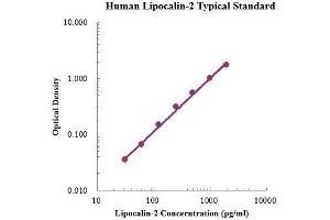 ELISA image for Lipocalin 2 (LCN2) ELISA Kit (ABIN3198594)