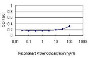 Detection limit for recombinant GST tagged BAD is approximately 30ng/ml as a capture antibody.