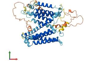 Protein Structure (PS) image for Serine Incorporator 3 (SERINC3) (AA 1-473) protein (His tag) (ABIN7546077)