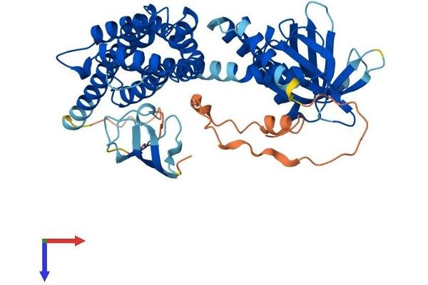 ARHGEF4 Protein (AA 1-484) (His tag)