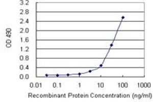 IL13 (Human) Matched Antibody Pair