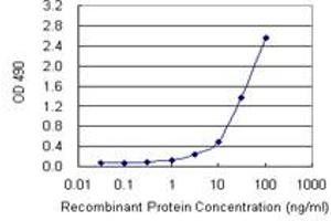Sandwich ELISA detection sensitivity ranging from 1 ng/mL to 100 ng/mL. (IL13 (人) Matched Antibody Pair)