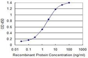 Detection limit for recombinant GST tagged GATA3 is 0. (GATA3 抗体  (AA 103-200))